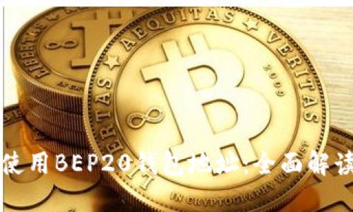 如何获取和使用BEP20钱包地址：全面解读和实用指南