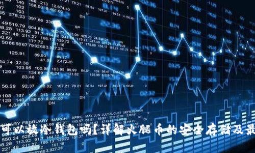火腿币可以放冷钱包吗？详解火腿币的安全存储及最佳实践