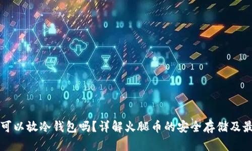 火腿币可以放冷钱包吗？详解火腿币的安全存储及最佳实践