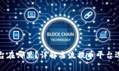 提币平台在哪里？详解主流提币平台选择指南