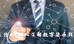 虚拟币的钱包是什么？深